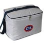 bolsa-termica-brindes-tr08.jpg